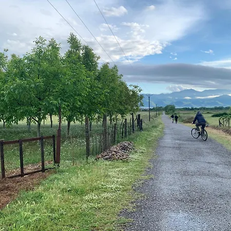 Parque de Campismo Culaj's Koplik